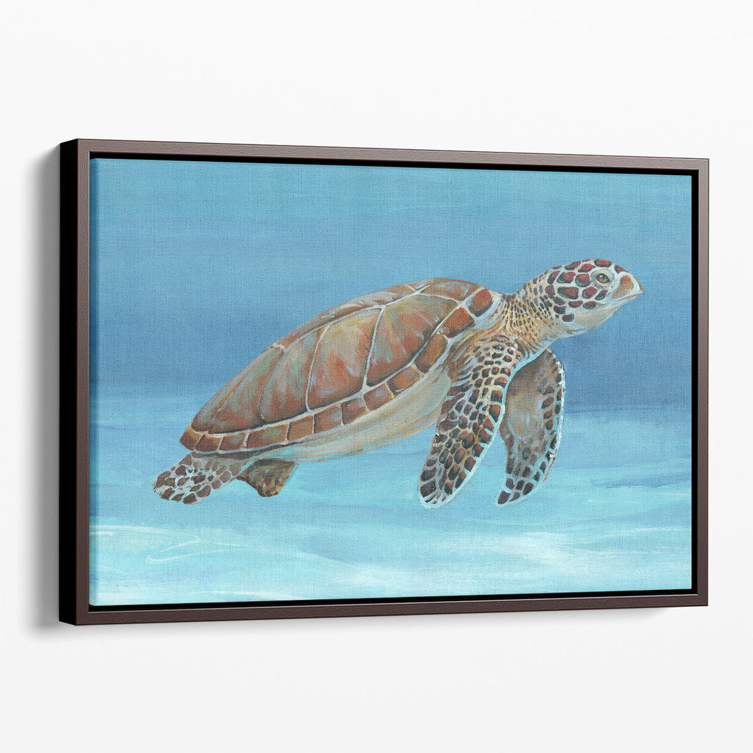 Ocean Sea Turtle I - Canvas Print Wall Art