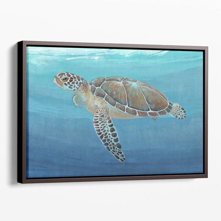 Ocean Sea Turtle II - Canvas Print Wall Art