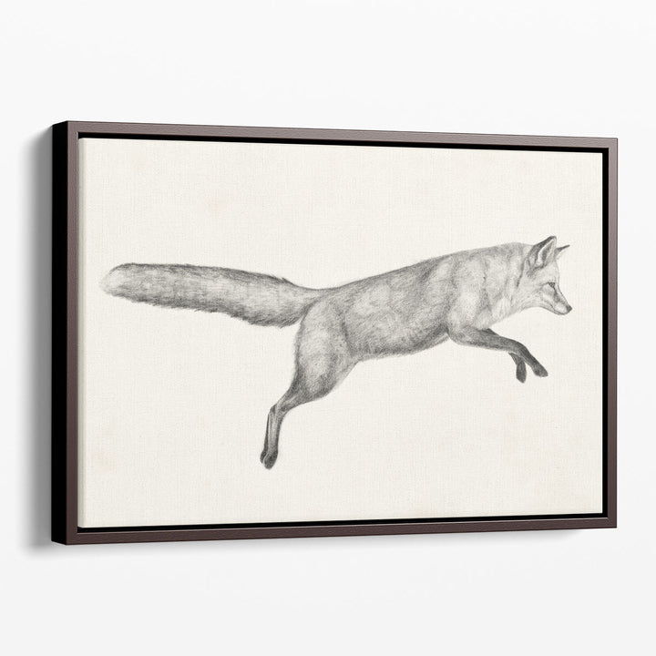 Flying Fox I - Canvas Print Wall Art