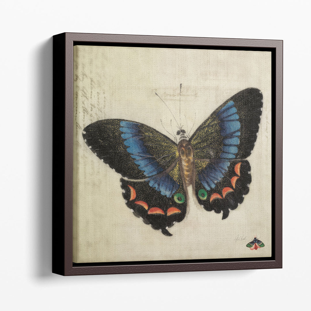 Vintage Blue Butterfly - Canvas Print Wall Art