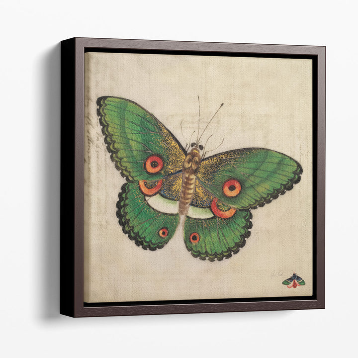 Vintage Green Butterfly - Canvas Print Wall Art