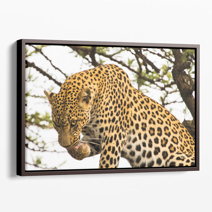 After Lunch - Canvas Print Wall Art