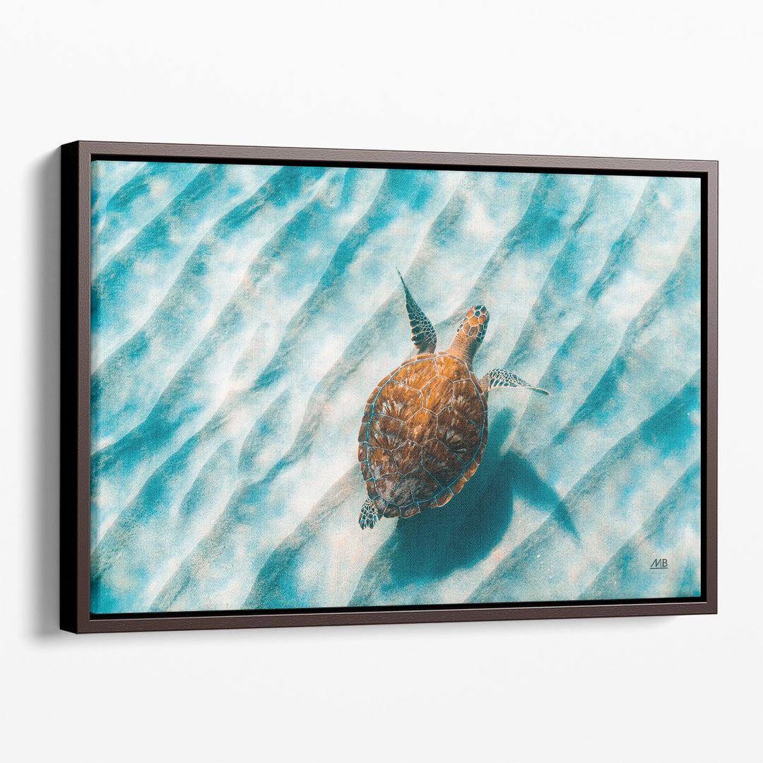 Sandbar Sea Turtle II - Canvas Print Wall Art