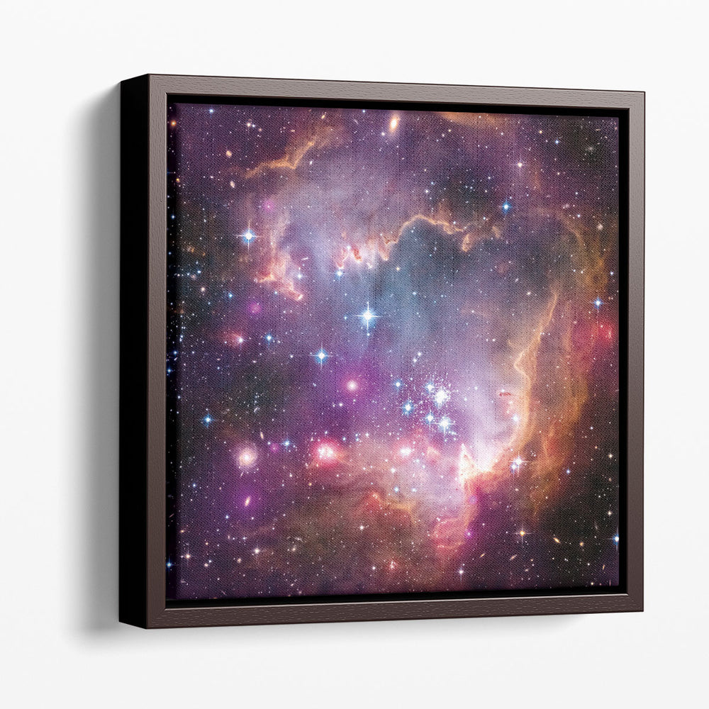 Magellanic Cloud Galaxy - Canvas Print Wall Art