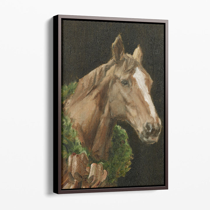 Holiday Horse I - Canvas Print Wall Art