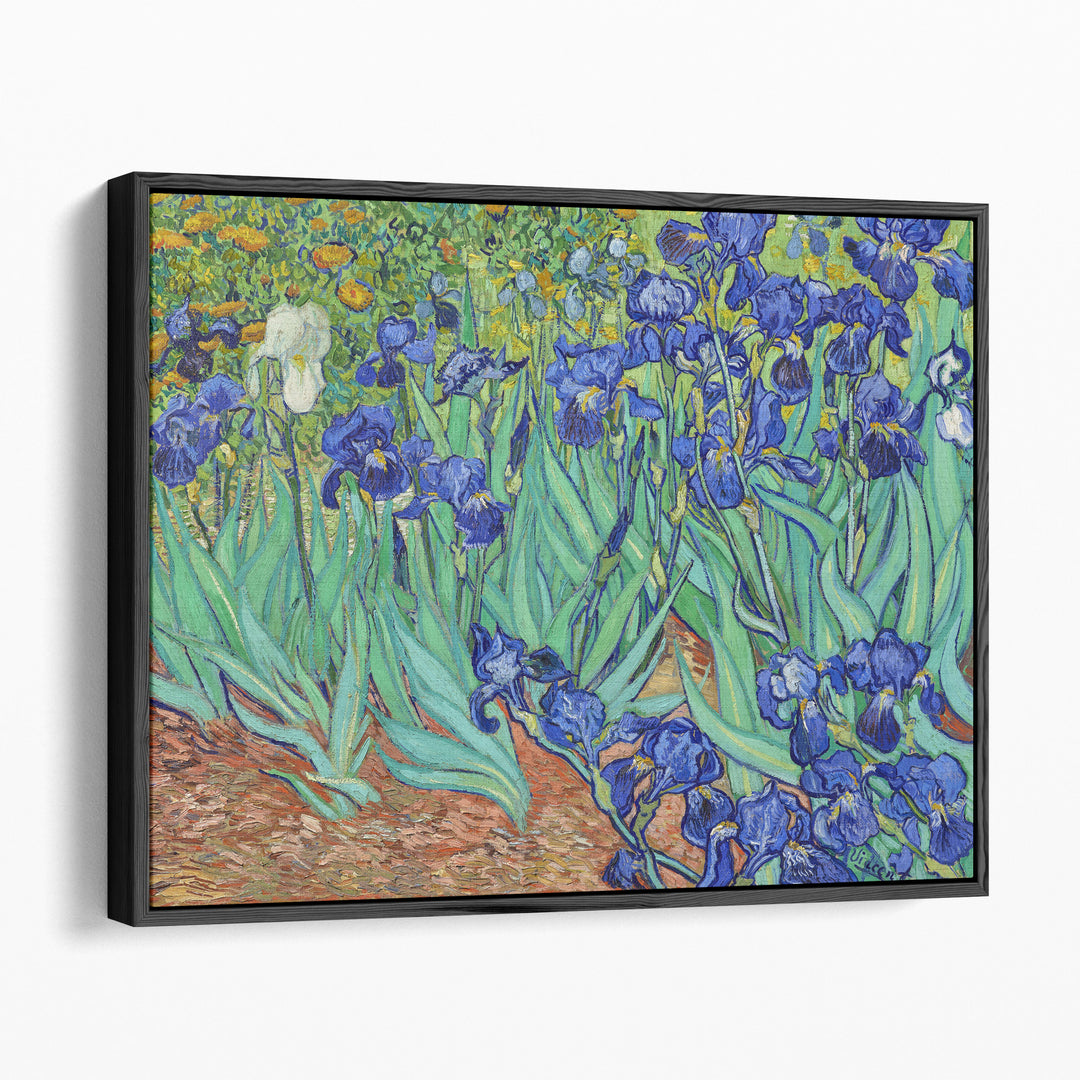 Irises, 1889 - Canvas Print Wall Art