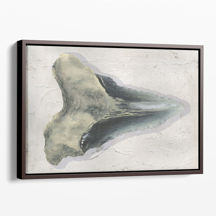 Watercolor Sharks Tooth III - Canvas Print Wall Art