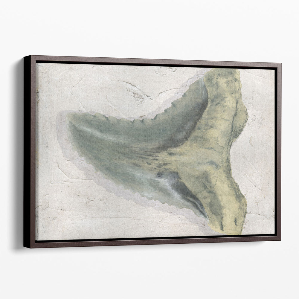 Watercolor Sharks Tooth IV - Canvas Print Wall Art