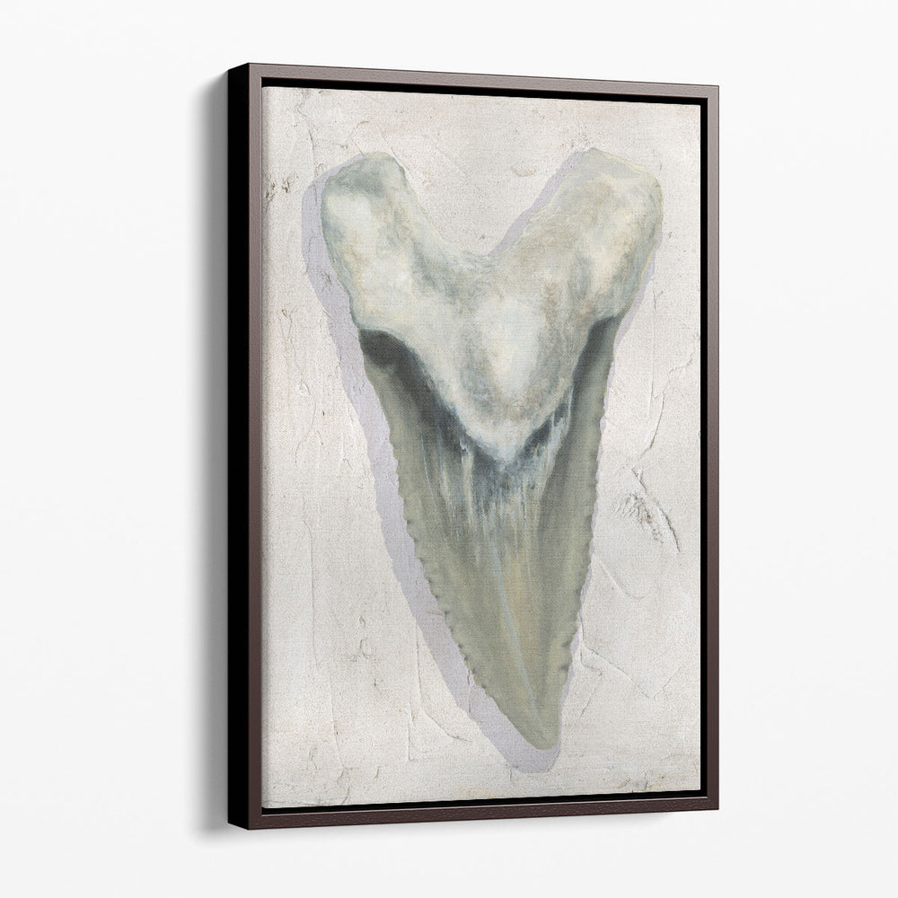 Watercolor Sharks Tooth II - Canvas Print Wall Art