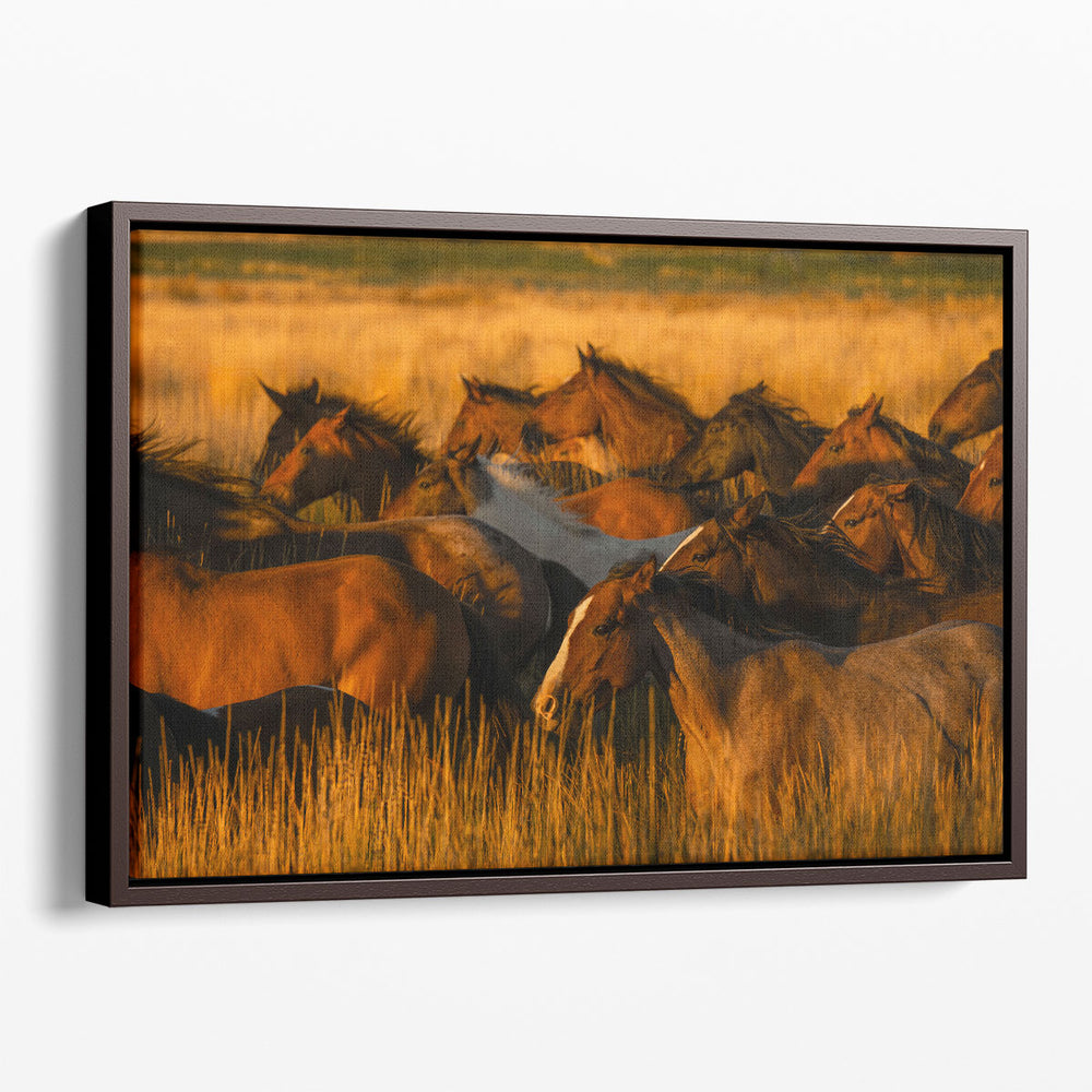 Golden Light - Canvas Print Wall Art