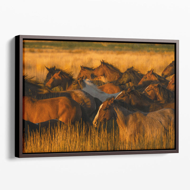 Golden Light - Canvas Print Wall Art