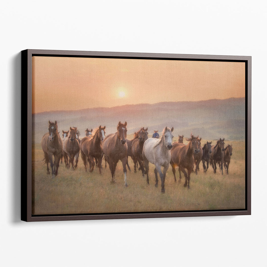 Morning Jingle - Canvas Print Wall Art