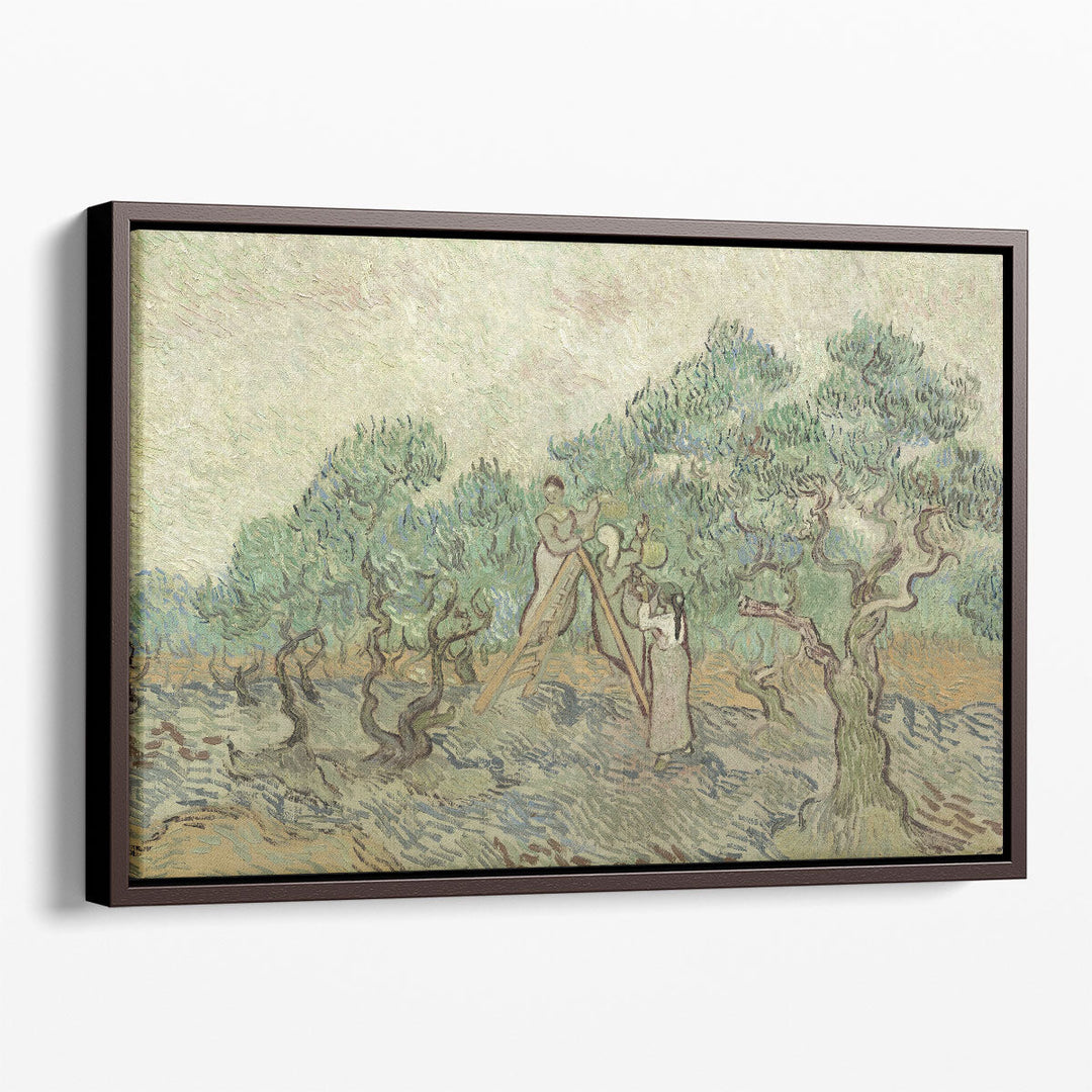 The Olive Orchard, 1889 - Canvas Print Wall Art