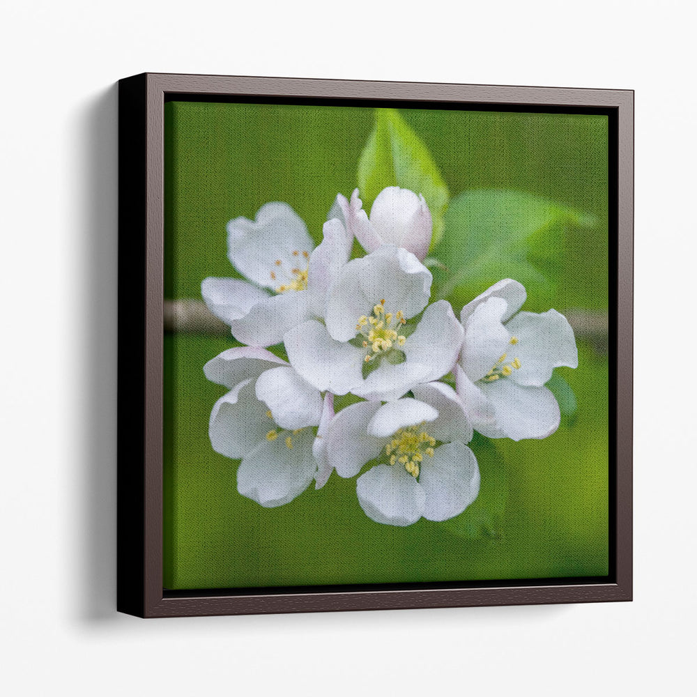 Blossom Flowers - Canvas Print Wall Art