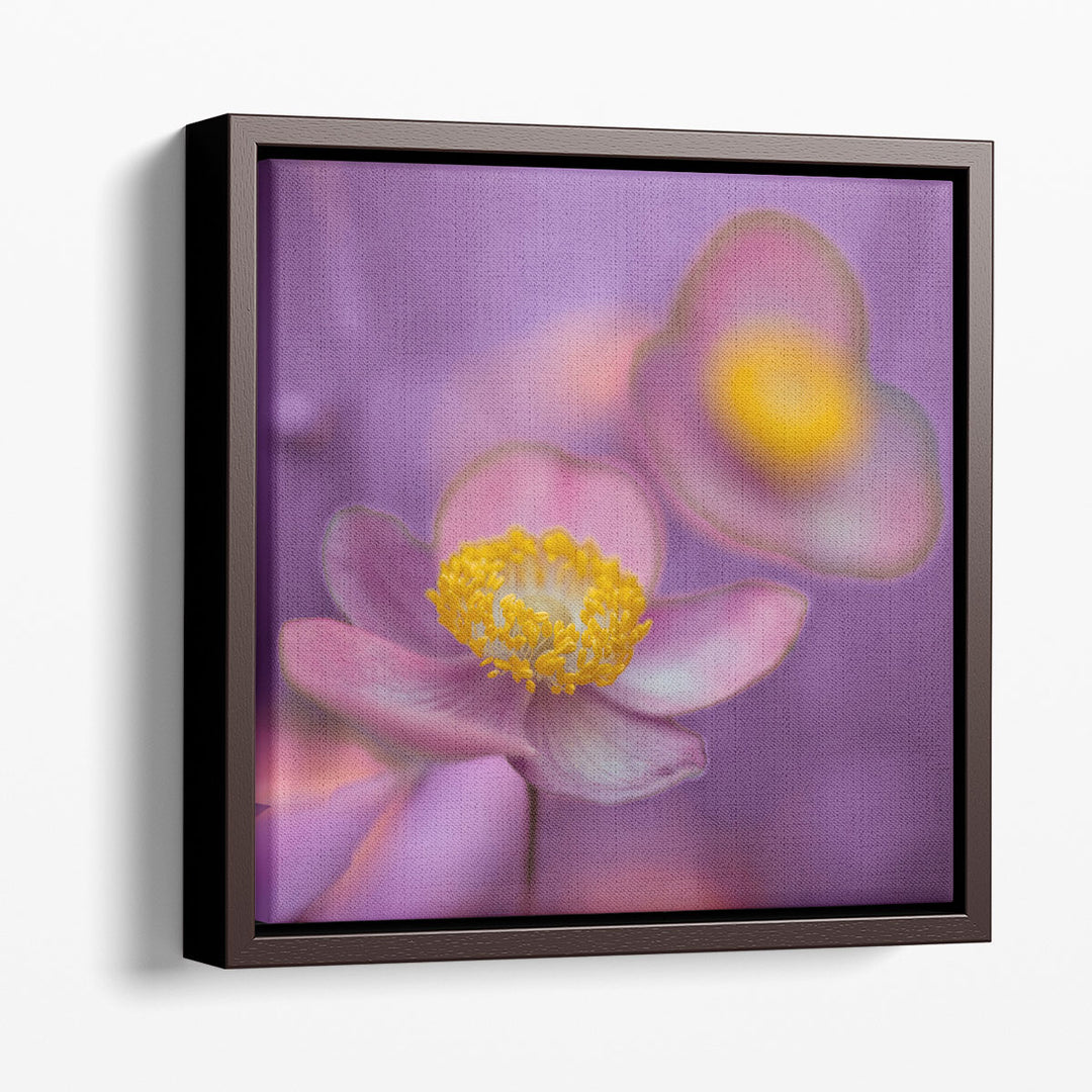 Close-up of Anemone Flowers 1 - Canvas Print Wall Art