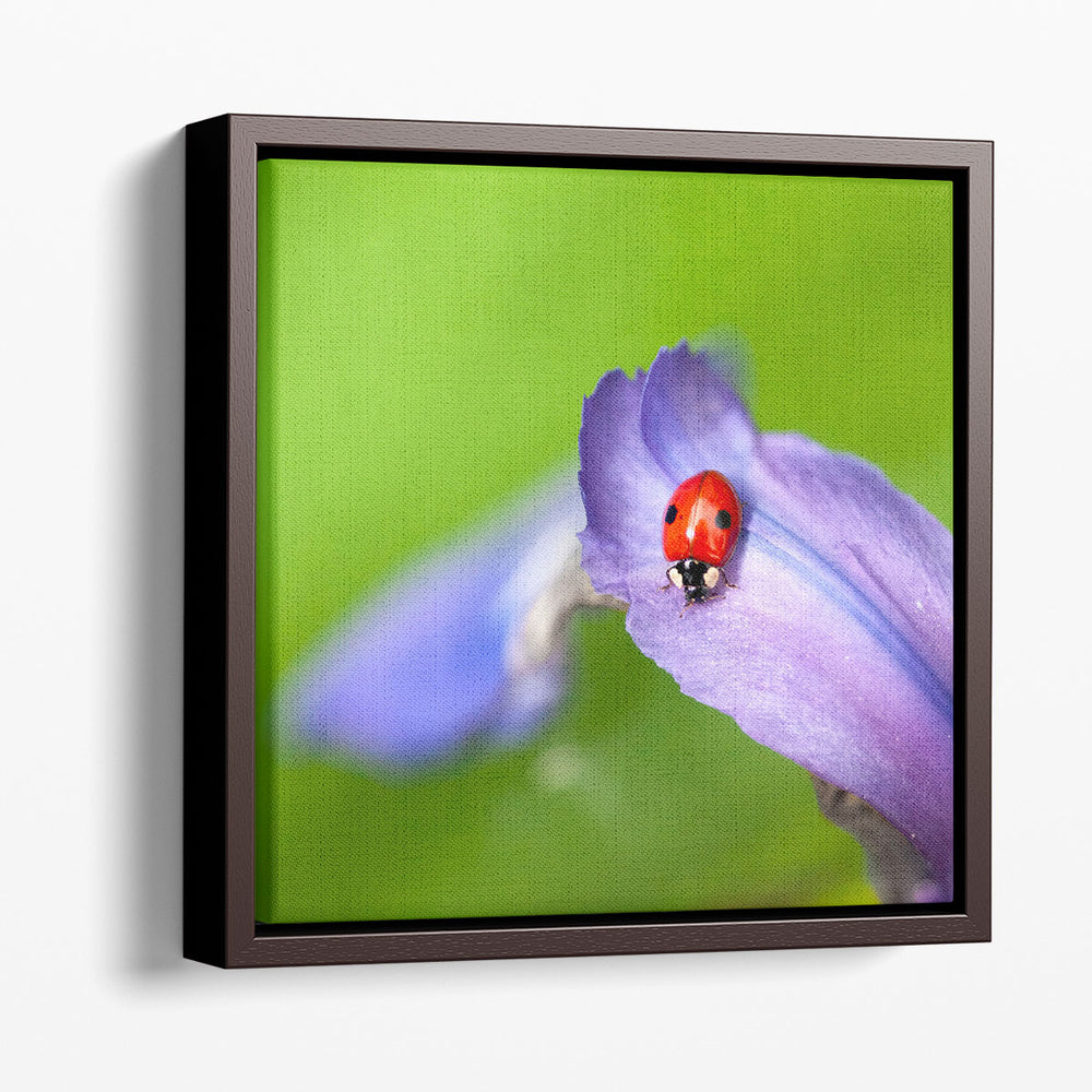 Lady Bug on Flower Petal - Canvas Print Wall Art