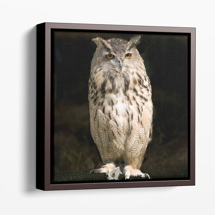 Owl on Black - Canvas Print Wall Art