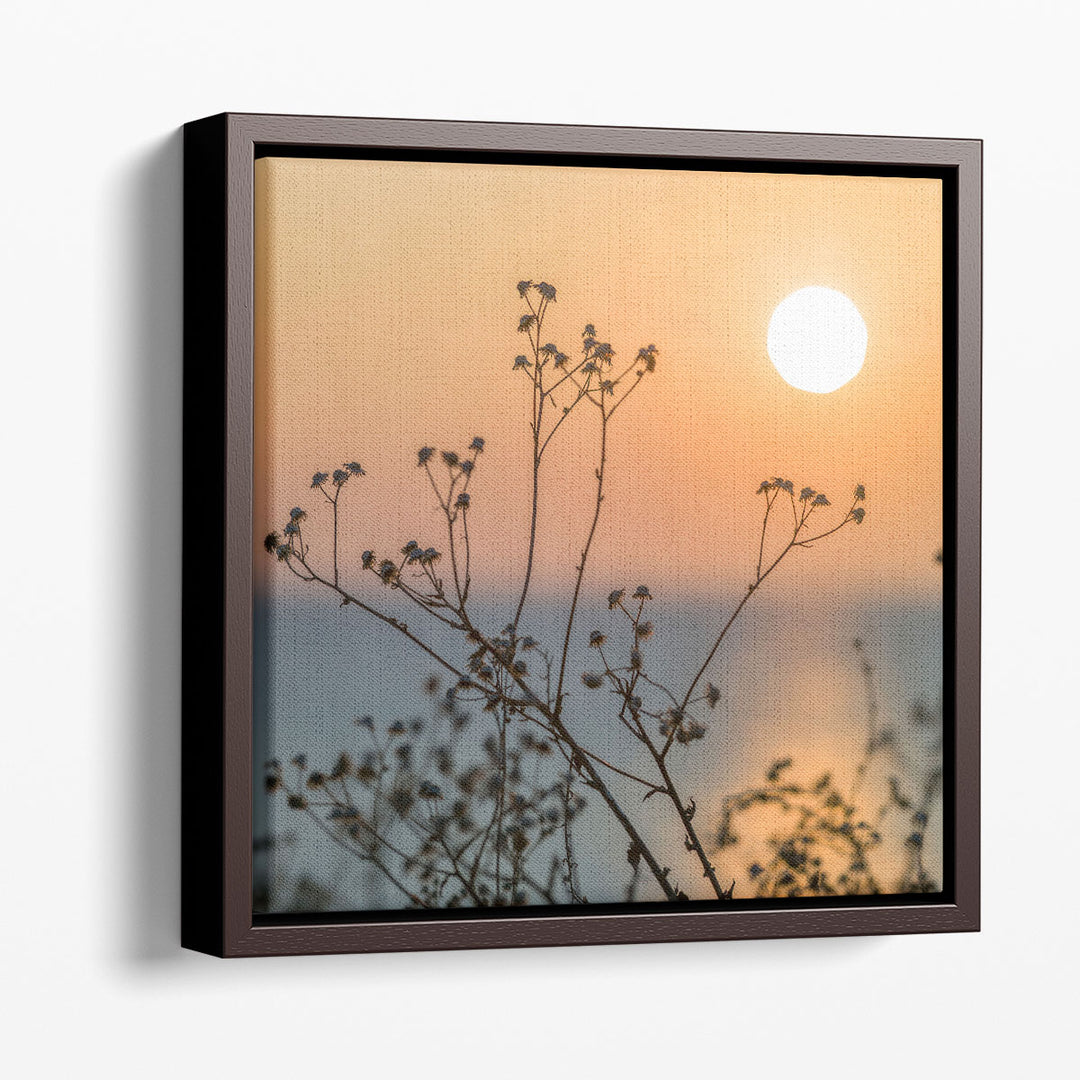 Plants Silhouette - Canvas Print Wall Art