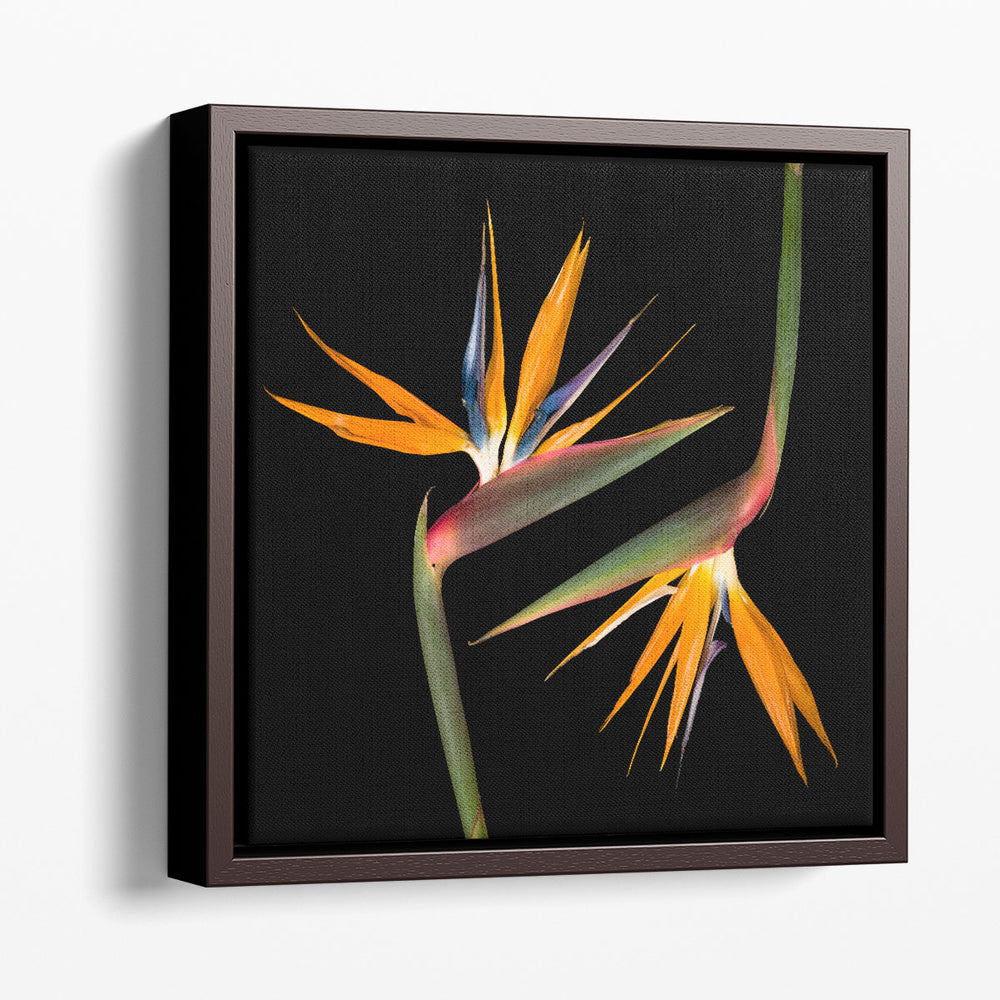 Two Heliconias - Canvas Print Wall Art