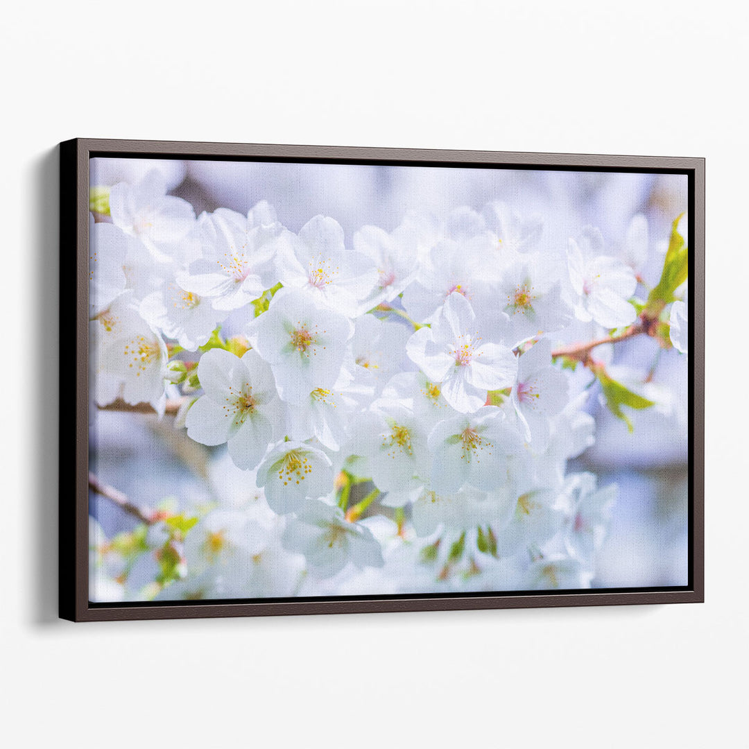 Blossom I - Canvas Print Wall Art