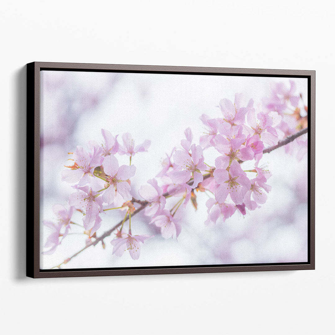 Blossom II - Canvas Print Wall Art