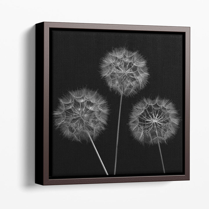 Dandelion Flowers - Canvas Print Wall Art