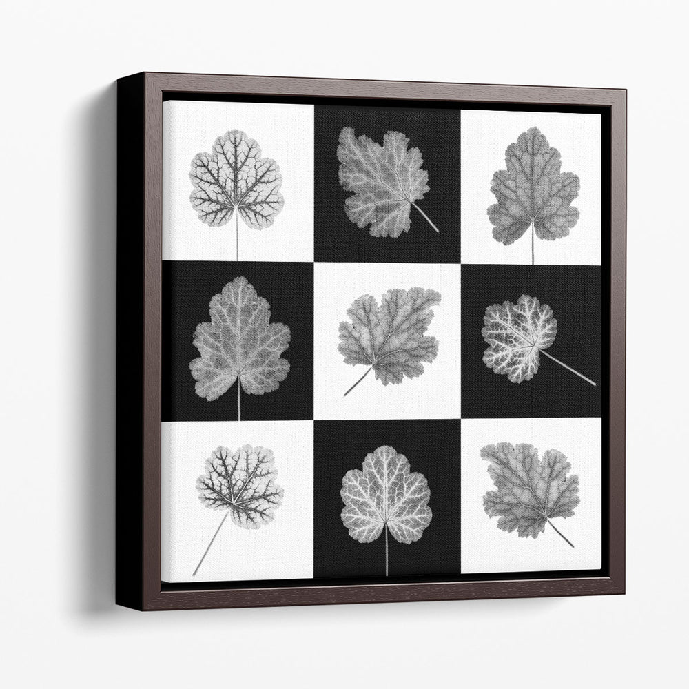 Heuchera Leaf Collage - Canvas Print Wall Art