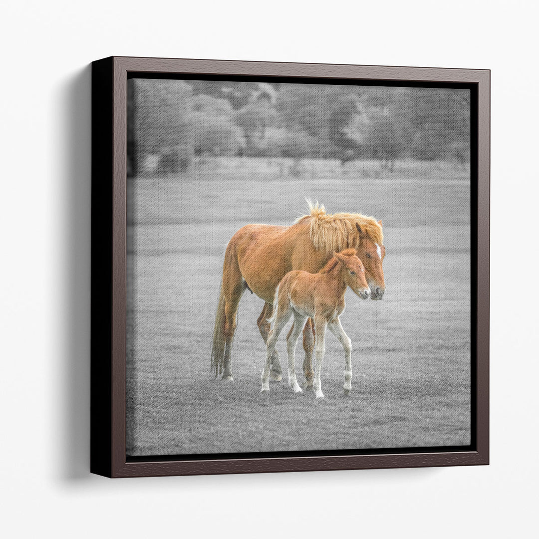 Horse with Foal - Canvas Print Wall Art