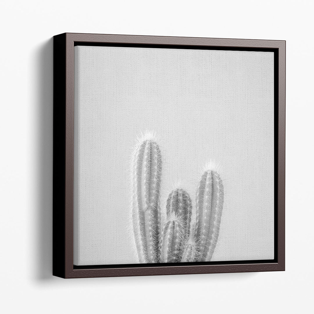 Micranthocereus Estevesii Cactus - Canvas Print Wall Art