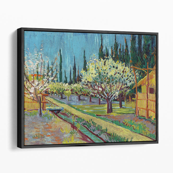 Orchard Bordered by Cypresses, 1888 - Canvas Print Wall Art