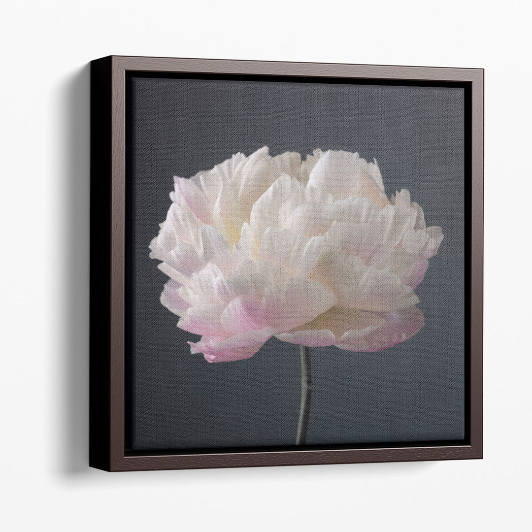 Peony Flower - Canvas Print Wall Art