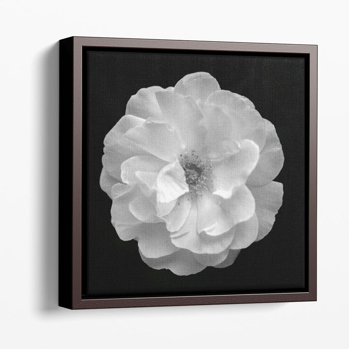 Rose - Canvas Print Wall Art