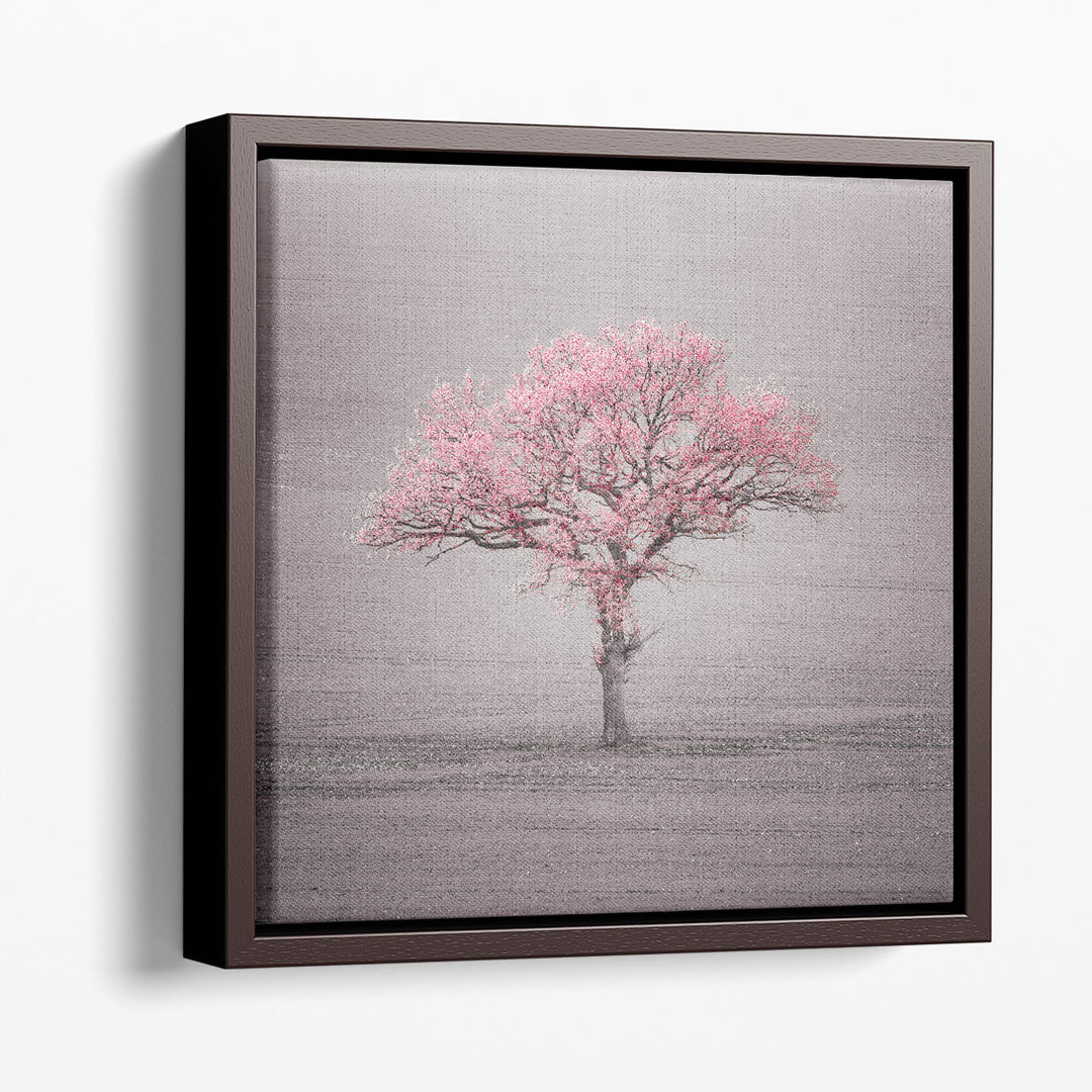 Single Tree in Foggy Grassfield - Canvas Print Wall Art