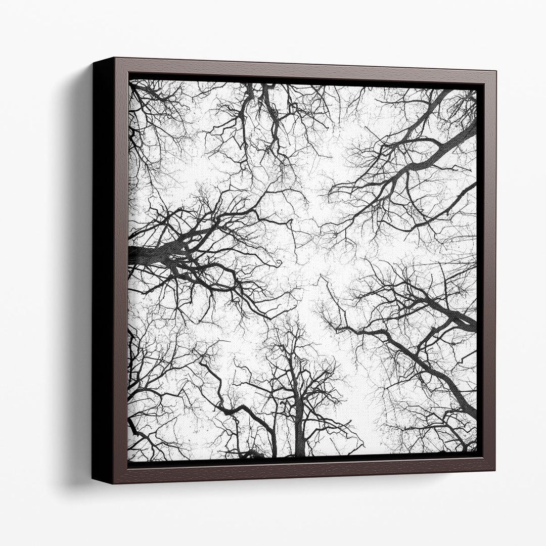 Tree Tops against the Sky - Canvas Print Wall Art