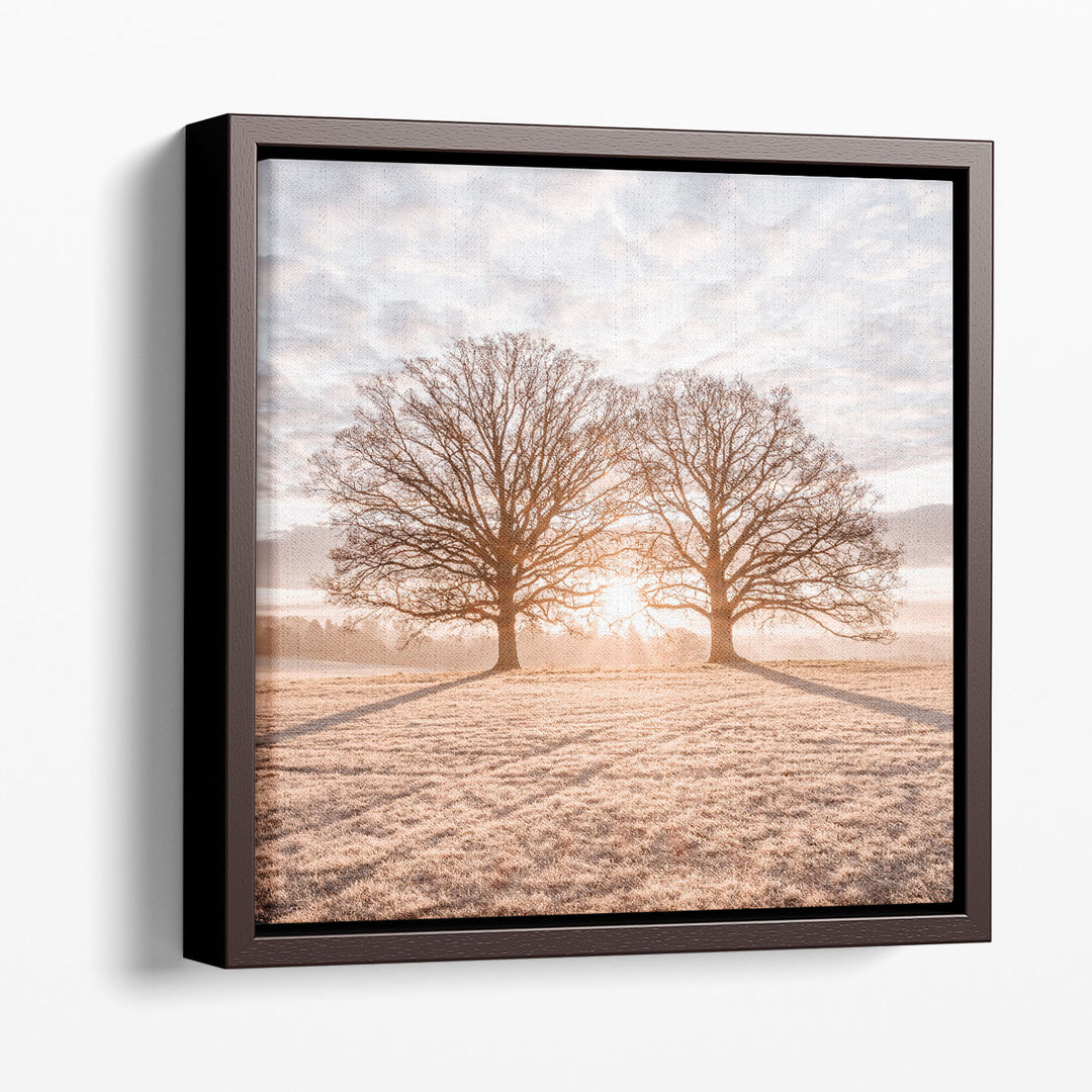 Trees in Meadow - Canvas Print Wall Art