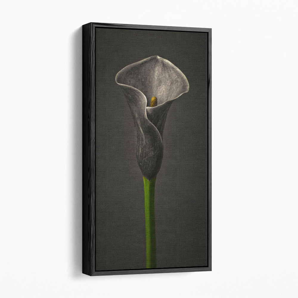 Calla Lilies 1 - Canvas Print Wall Art