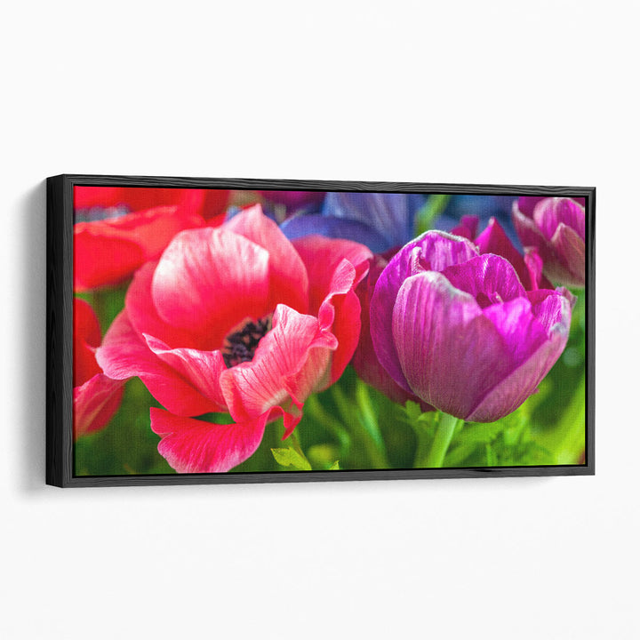 Close-up of Anemone Flowers - Canvas Print Wall Art