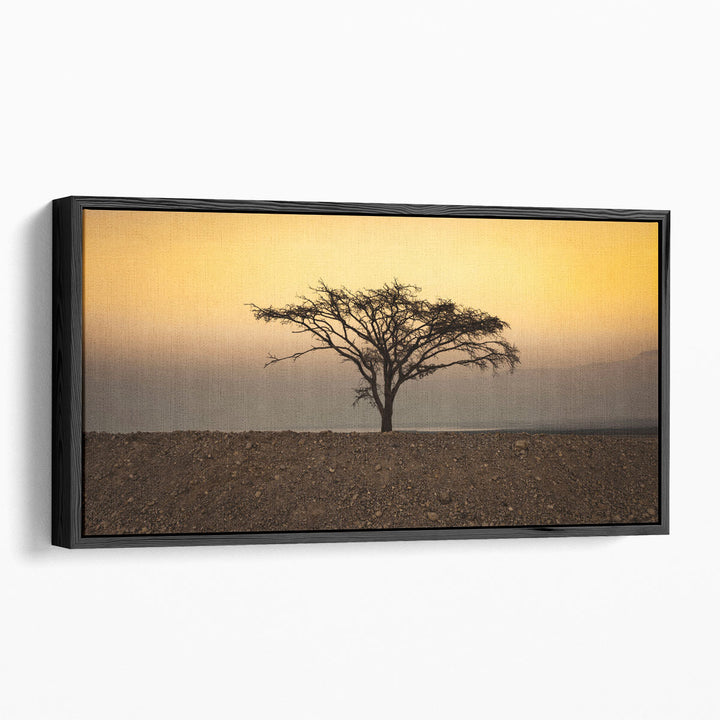 Dry Tree in the Desert near the Dead Sea, Israel - Canvas Print Wall Art