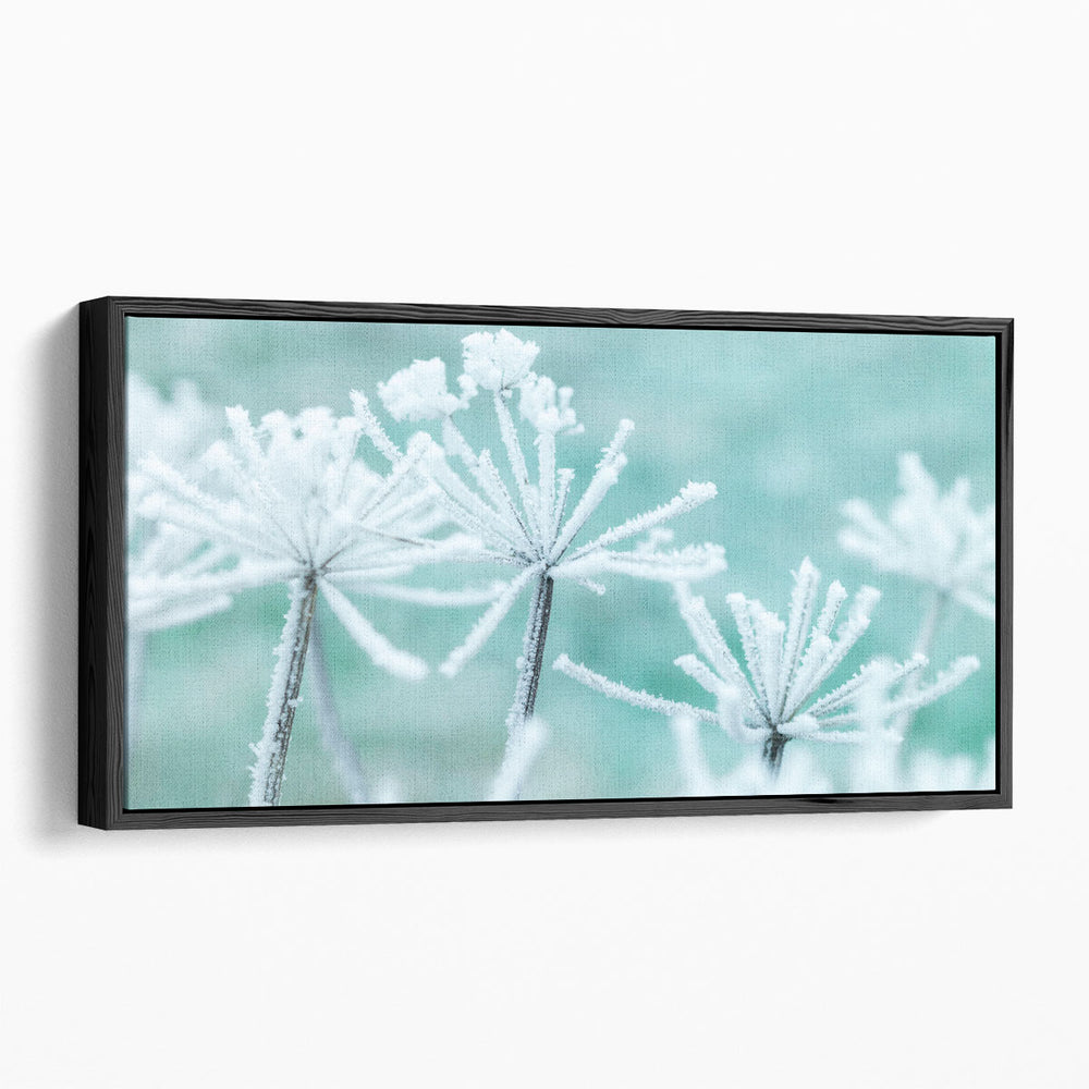 Frosty Cow Parsley - Canvas Print Wall Art