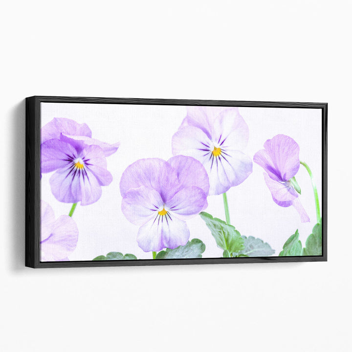 Violet Flowers - Canvas Print Wall Art