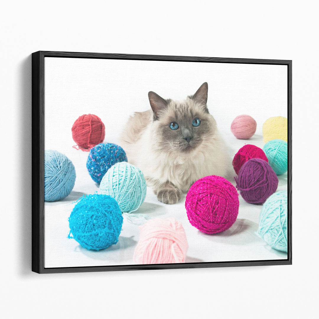 Cat With Balls Of Wool - Canvas Print Wall Art