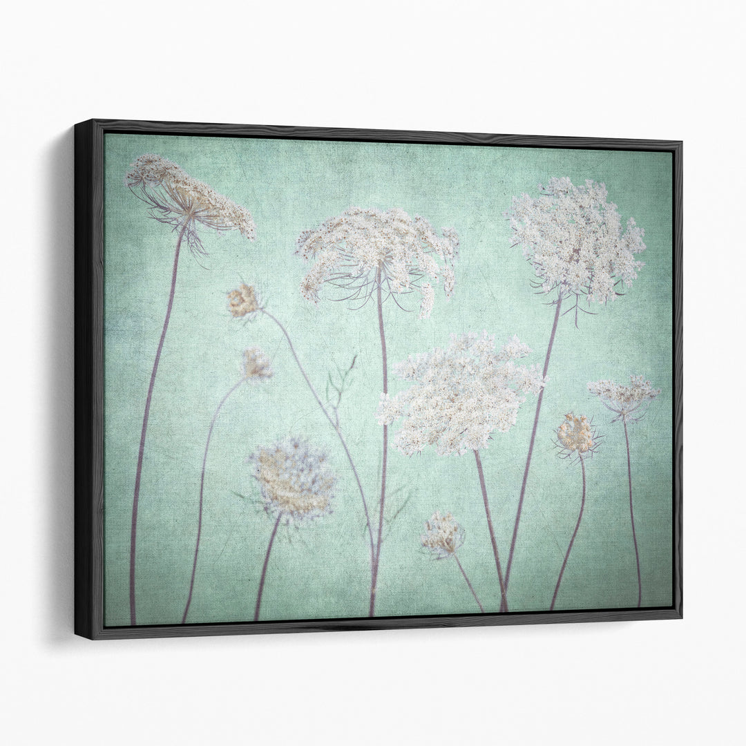 Cow Parsley Flowers 3 - Canvas Print Wall Art