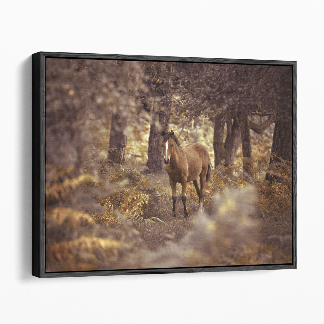 Wild Horse, New Forest - Canvas Print Wall Art