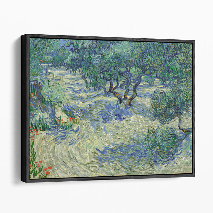 Olive Orchard, 1889 - Canvas Print Wall Art