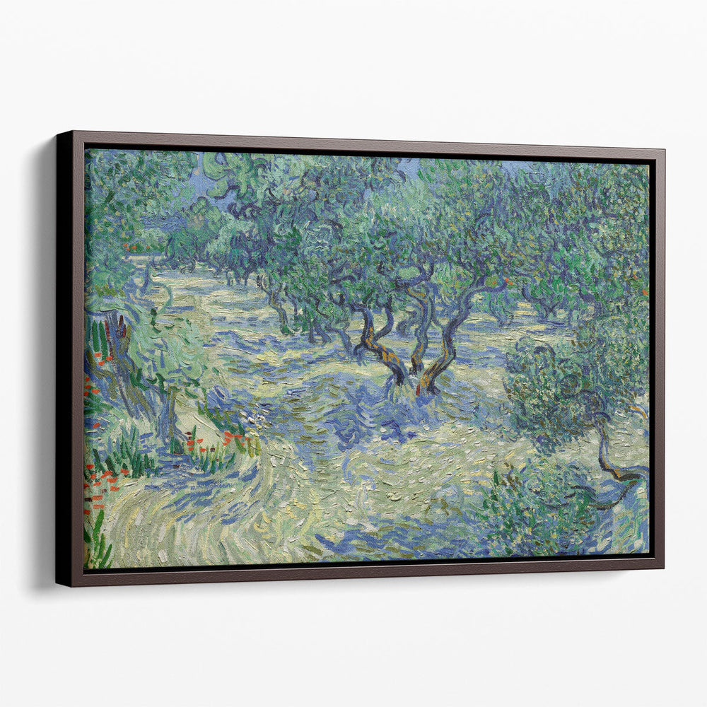 Olive Orchard, 1889 - Canvas Print Wall Art