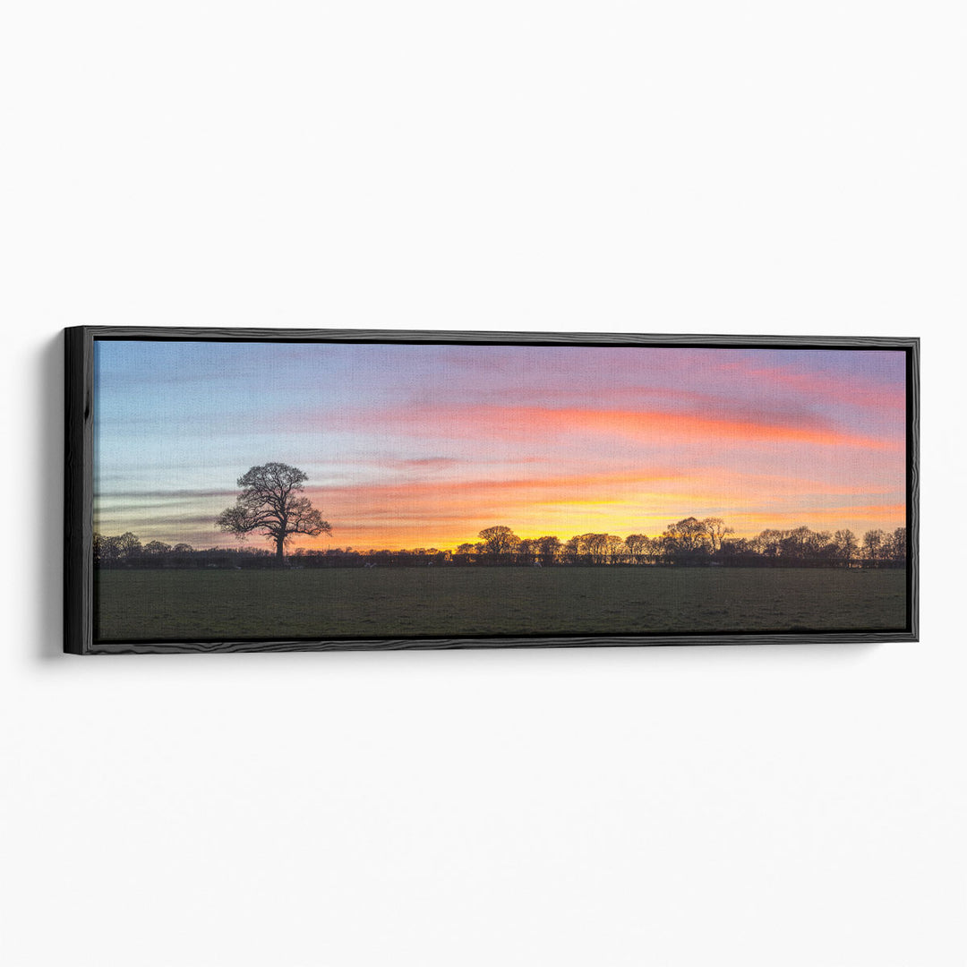 Silhouette of Single Tree in Countryside - Canvas Print Wall Art