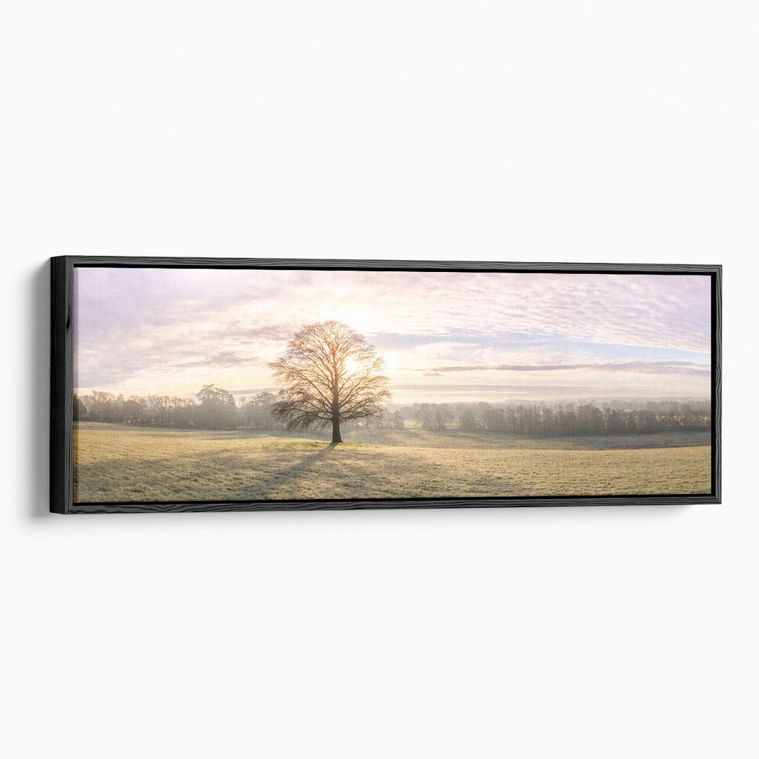 Trees in Meadow II - Canvas Print Wall Art