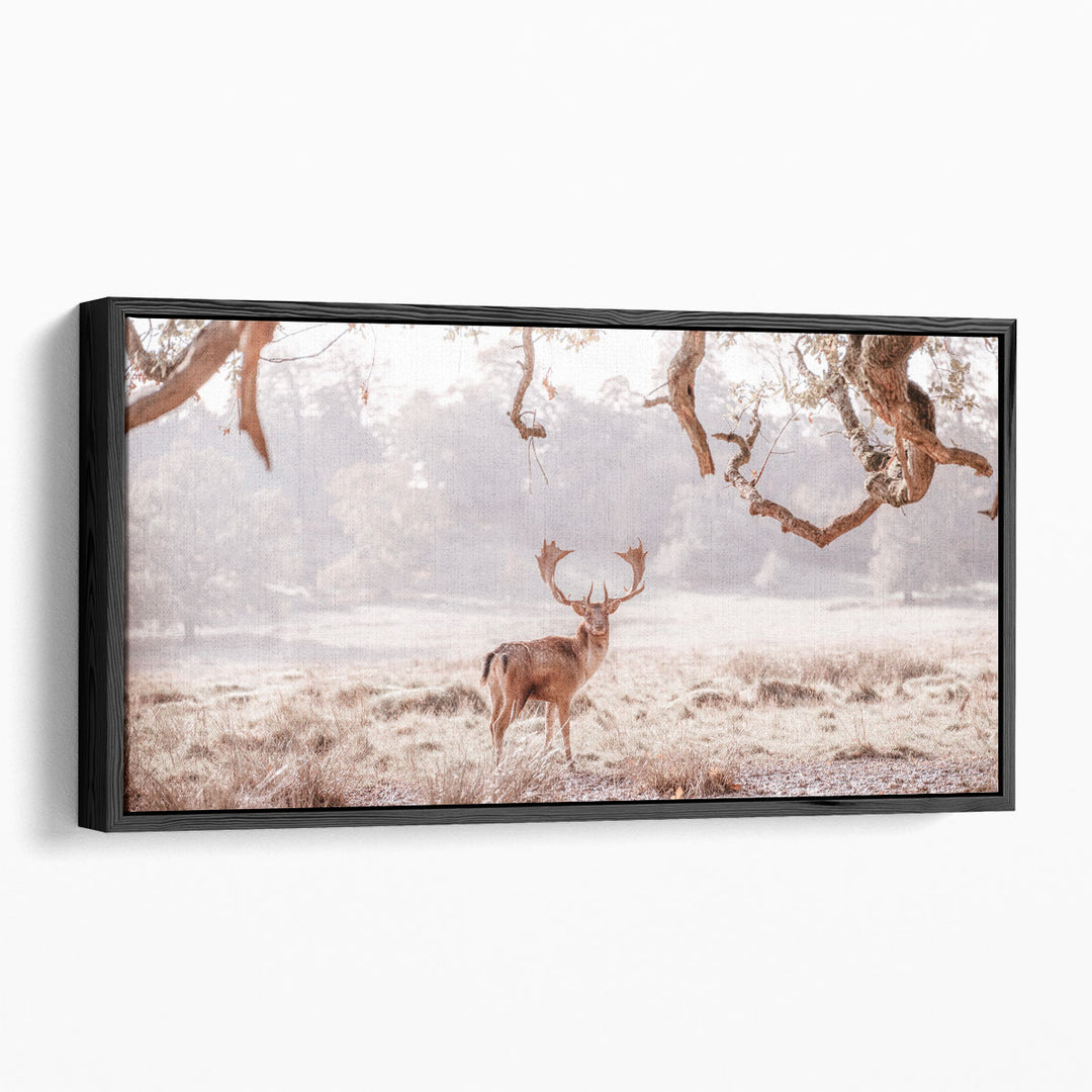 Stag in a Field - Canvas Print Wall Art