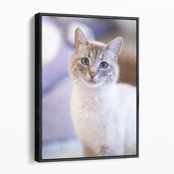 Cute Cat - Canvas Print Wall Art