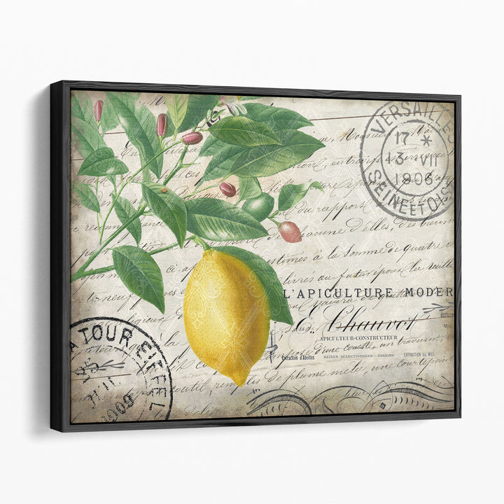 Vintage Lemon- Canvas Print Wall Art